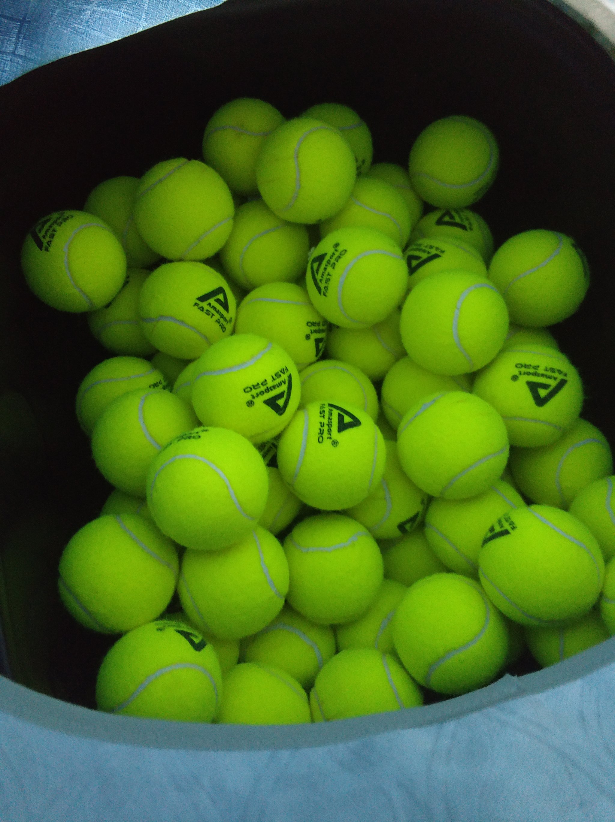 得分贡献 得分贡献