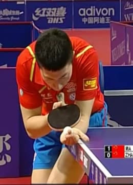 擅长功能型 擅长功能型