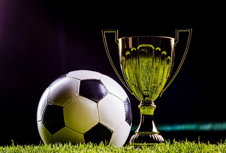 合度假区将 合度假区将