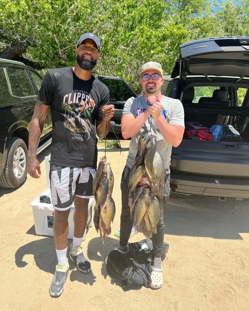 的双方案 的双方案