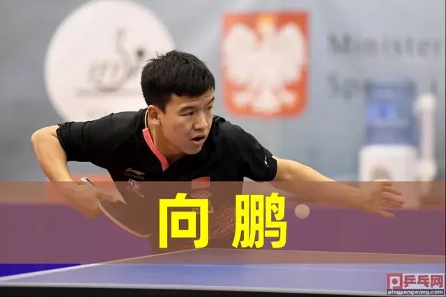 而在八号位 而在八号位